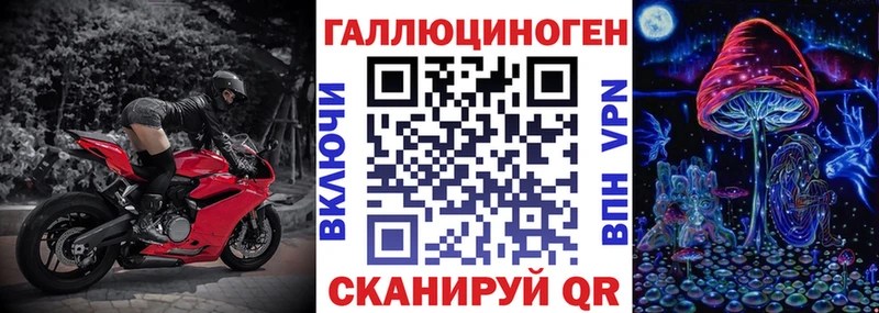 OMG tor  Могоча  Псилоцибиновые грибы GOLDEN TEACHER 